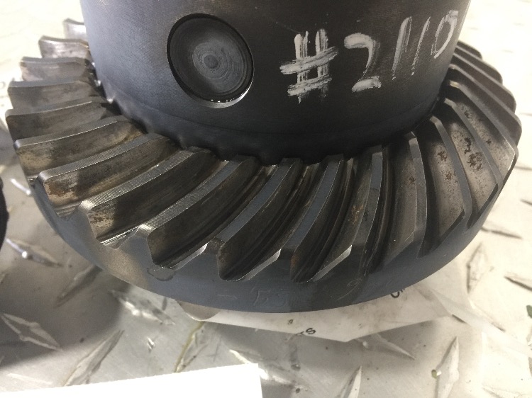 Differential Assembly